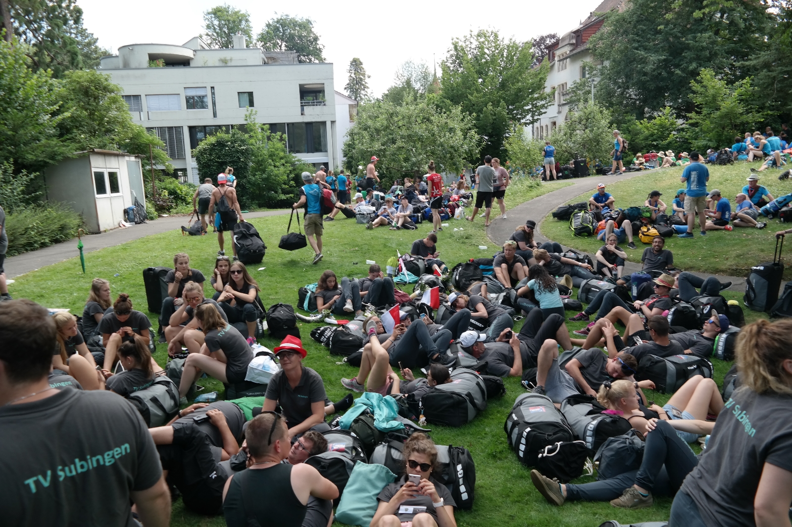 Bild1 (234)
